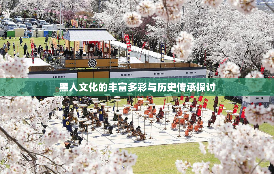 黑人文化的丰富多彩与历史传承探讨