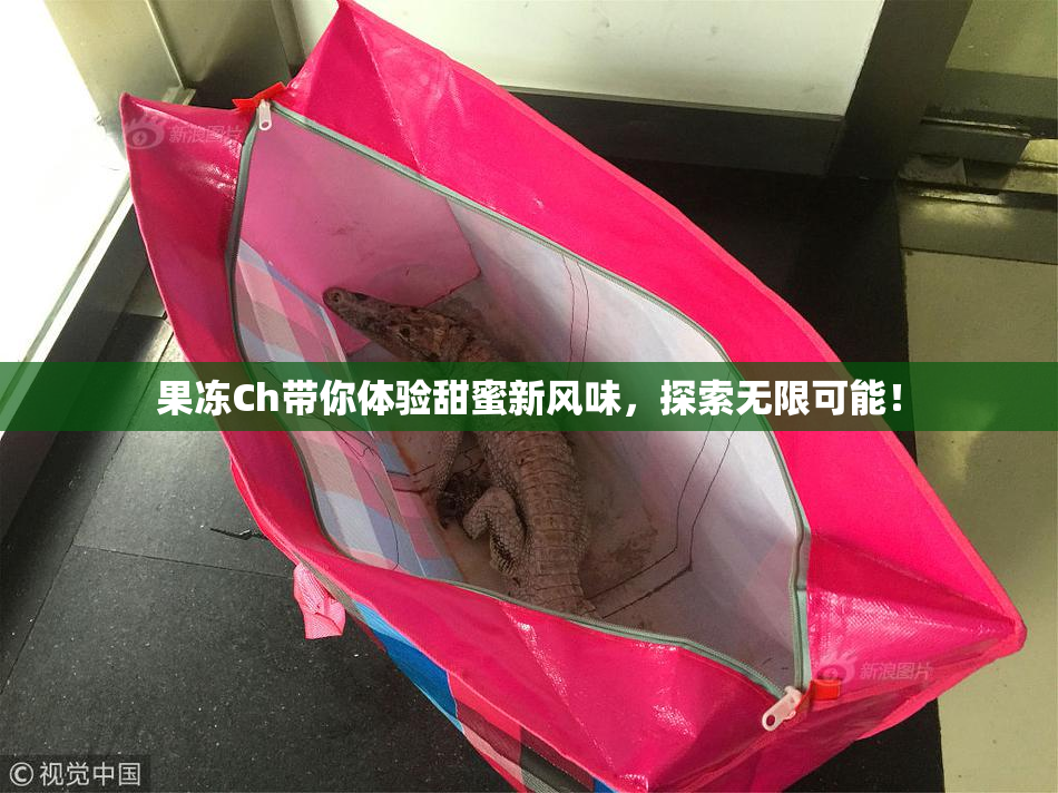 果冻Ch带你体验甜蜜新风味，探索无限可能！