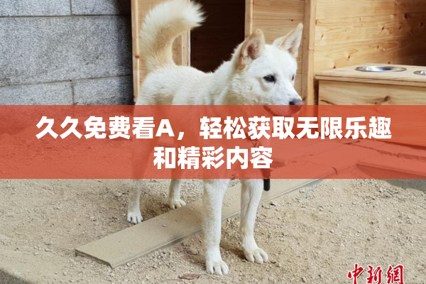 久久免费看A，轻松获取无限乐趣和精彩内容