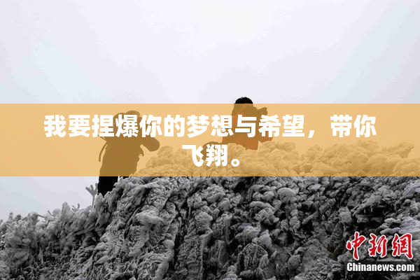 我要捏爆你的梦想与希望，带你飞翔。