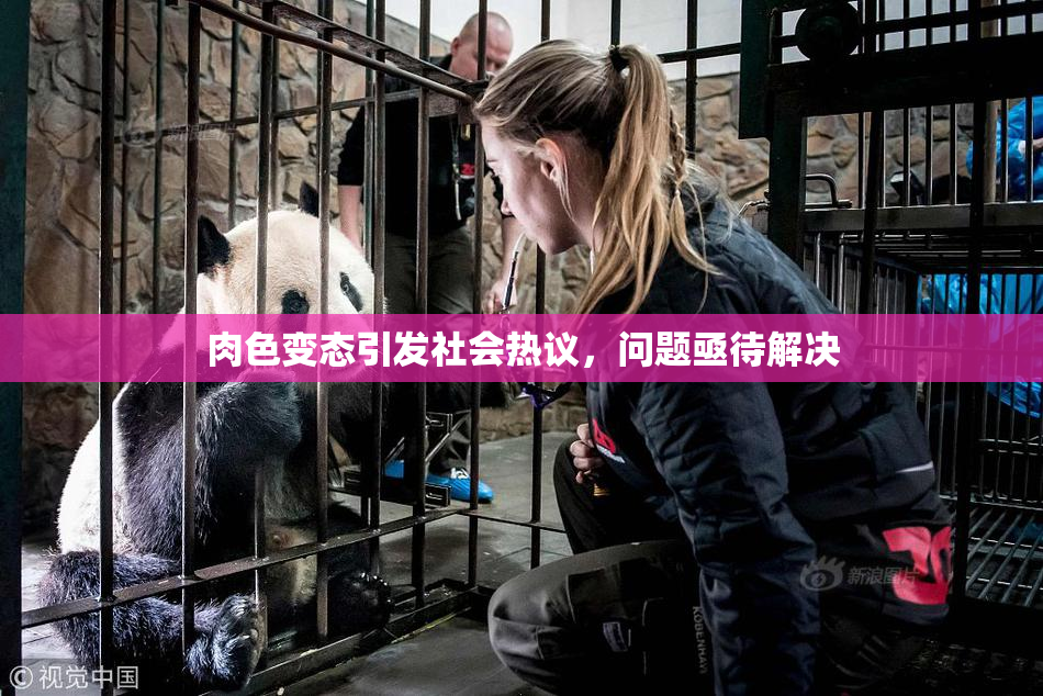 肉色变态引发社会热议，问题亟待解决