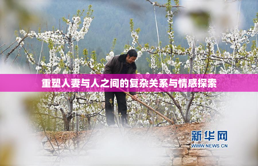 重塑人妻与人之间的复杂关系与情感探索