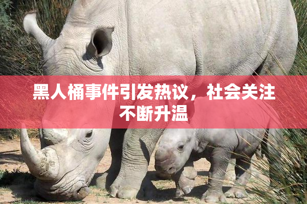 黑人桶事件引发热议，社会关注不断升温