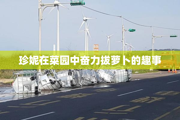 珍妮在菜园中奋力拔萝卜的趣事