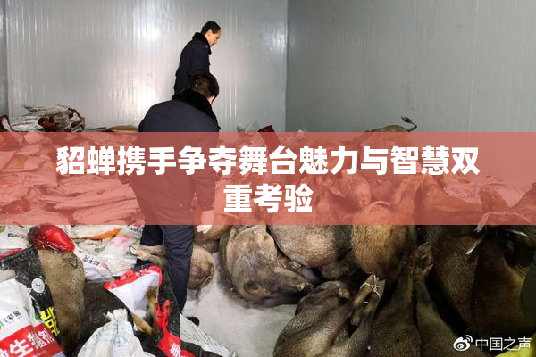 貂蝉携手争夺舞台魅力与智慧双重考验