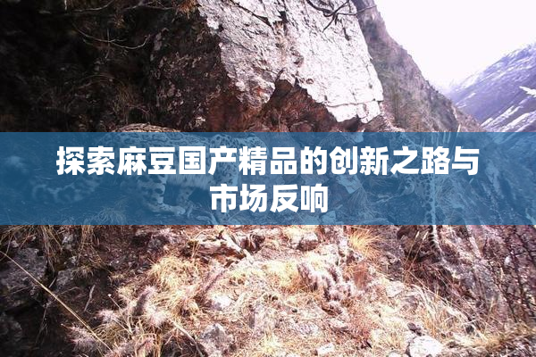 探索麻豆国产精品的创新之路与市场反响