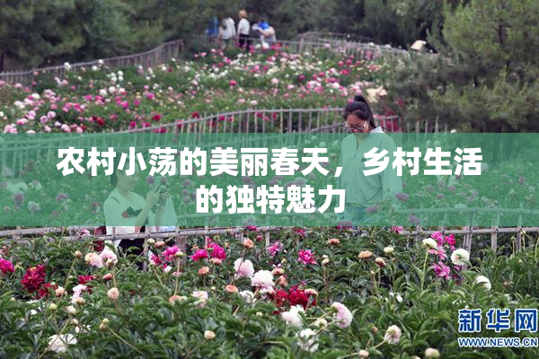 农村小荡的美丽春天，乡村生活的独特魅力