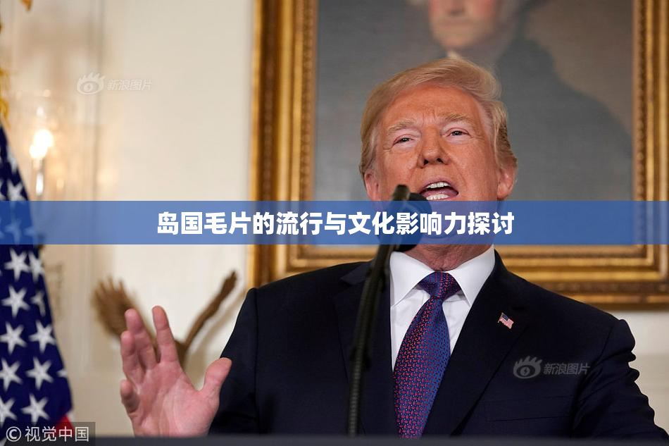 岛国毛片的流行与文化影响力探讨