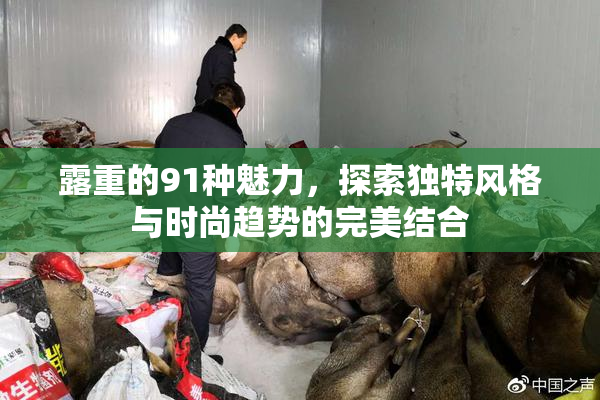露重的91种魅力，探索独特风格与时尚趋势的完美结合