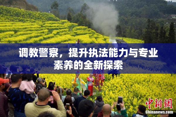 调教警察，提升执法能力与专业素养的全新探索