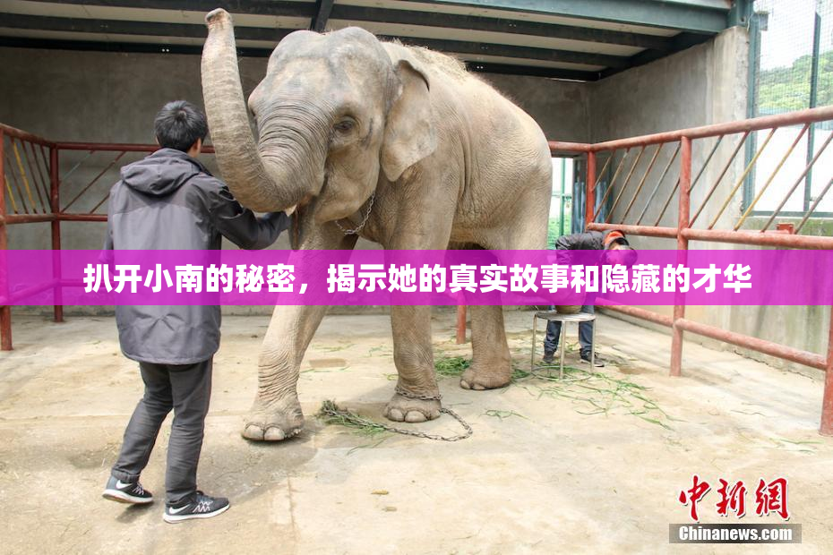 扒开小南的秘密，揭示她的真实故事和隐藏的才华