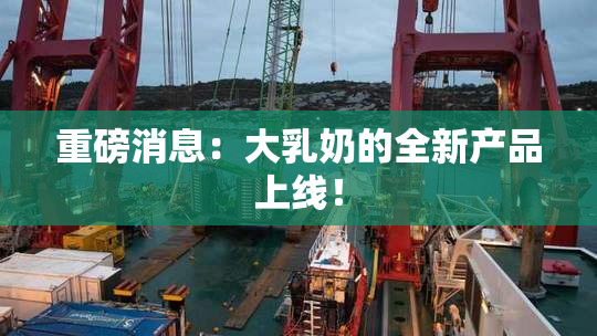 重磅消息：大乳奶的全新产品上线！