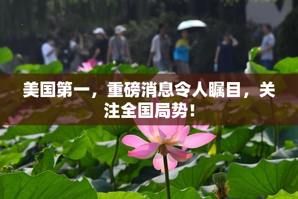 美国第一，重磅消息令人瞩目，关注全国局势！