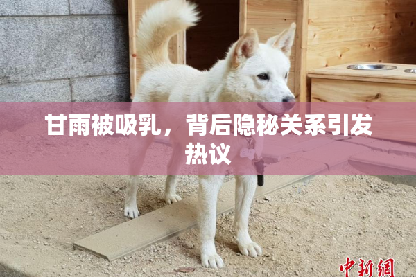甘雨被吸乳，背后隐秘关系引发热议