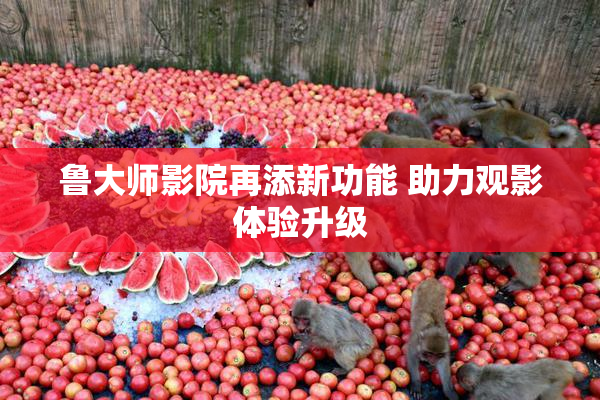 鲁大师影院再添新功能 助力观影体验升级