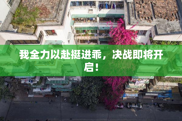 我全力以赴挺进乖，决战即将开启！