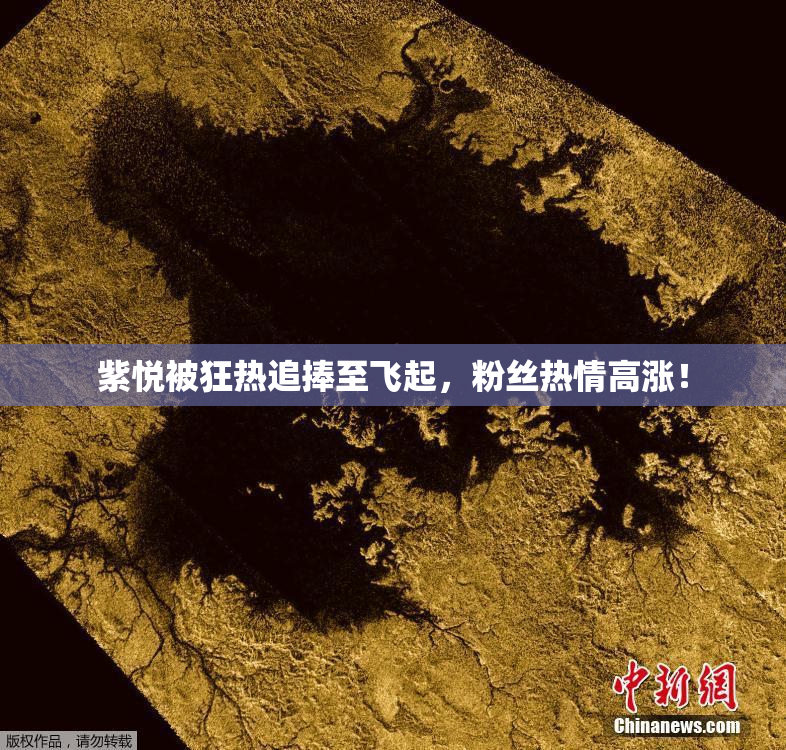 紫悦被狂热追捧至飞起，粉丝热情高涨！