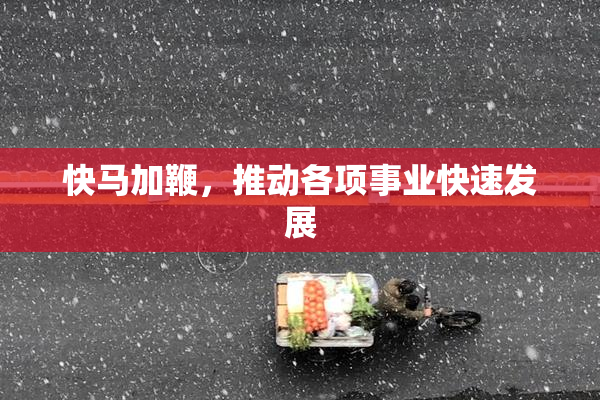 快马加鞭，推动各项事业快速发展