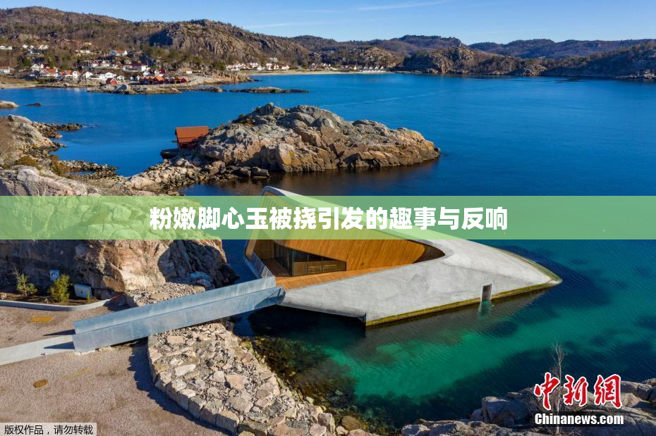 粉嫩脚心玉被挠引发的趣事与反响
