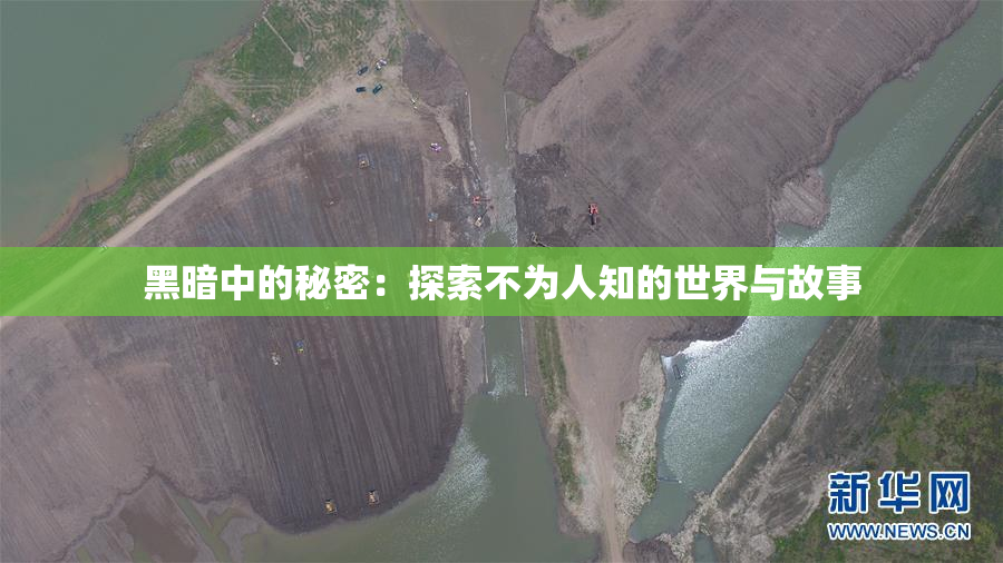 黑暗中的秘密：探索不为人知的世界与故事