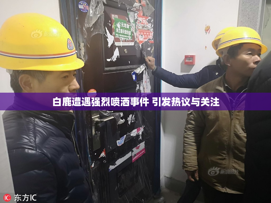白鹿遭遇强烈喷洒事件 引发热议与关注
