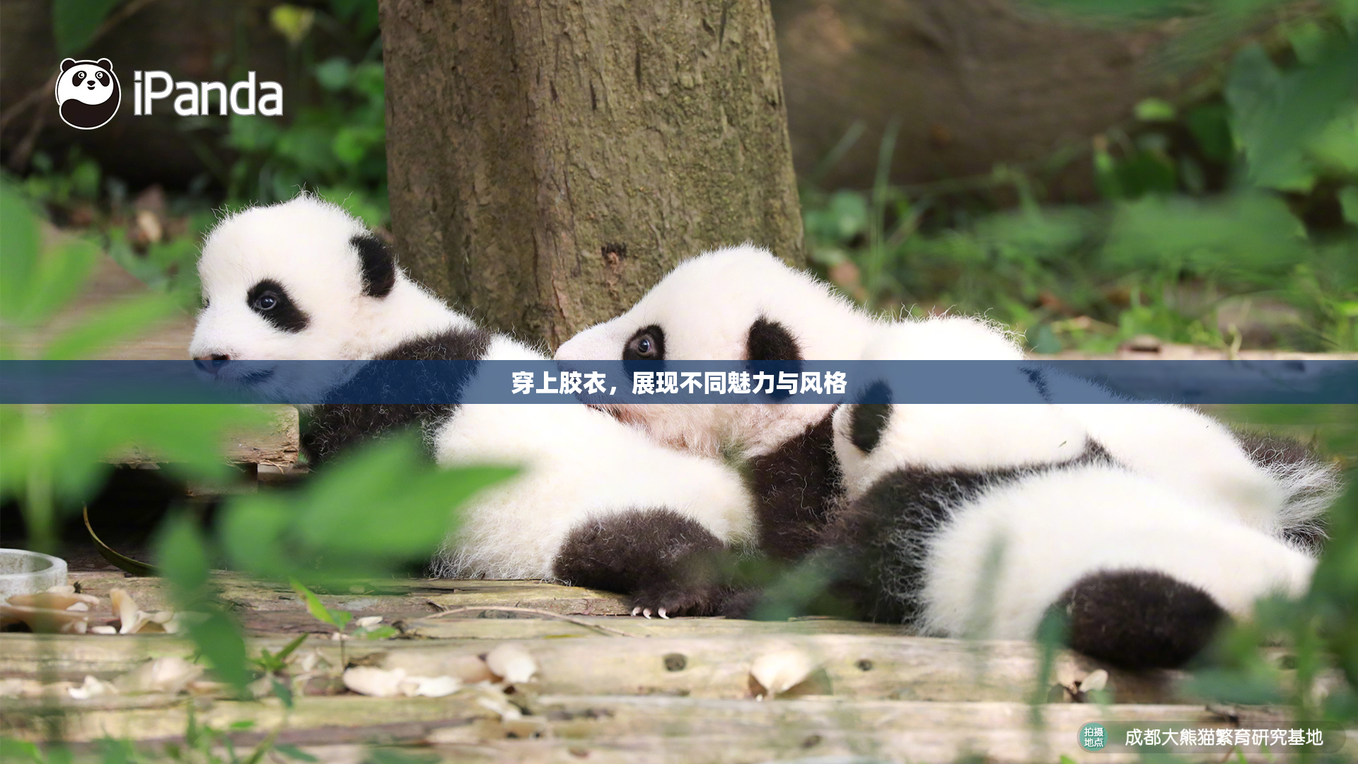 穿上胶衣，展现不同魅力与风格