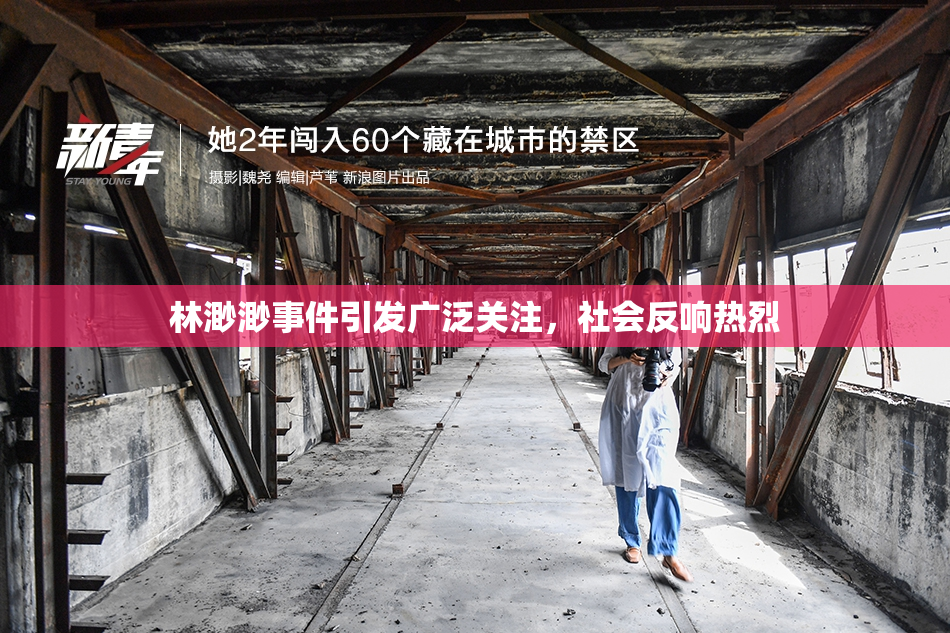 林渺渺事件引发广泛关注，社会反响热烈