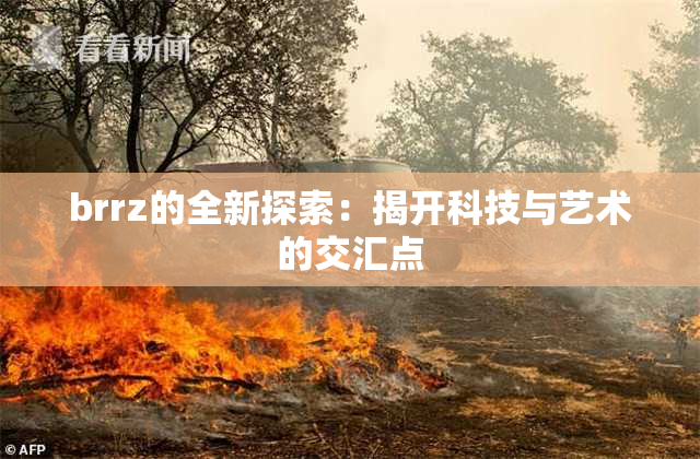 brrz的全新探索：揭开科技与艺术的交汇点