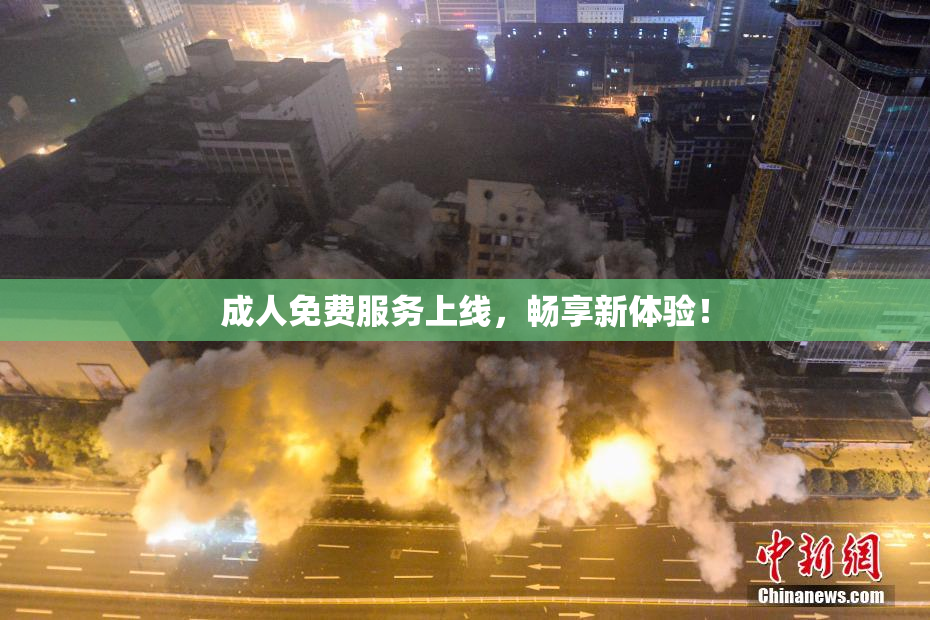 成人免费服务上线，畅享新体验！
