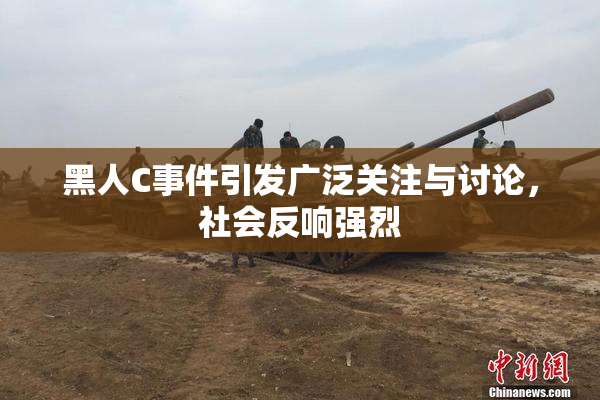 黑人C事件引发广泛关注与讨论，社会反响强烈