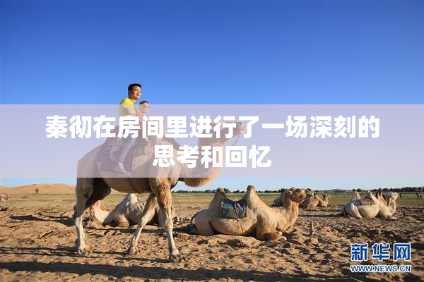 秦彻在房间里进行了一场深刻的思考和回忆