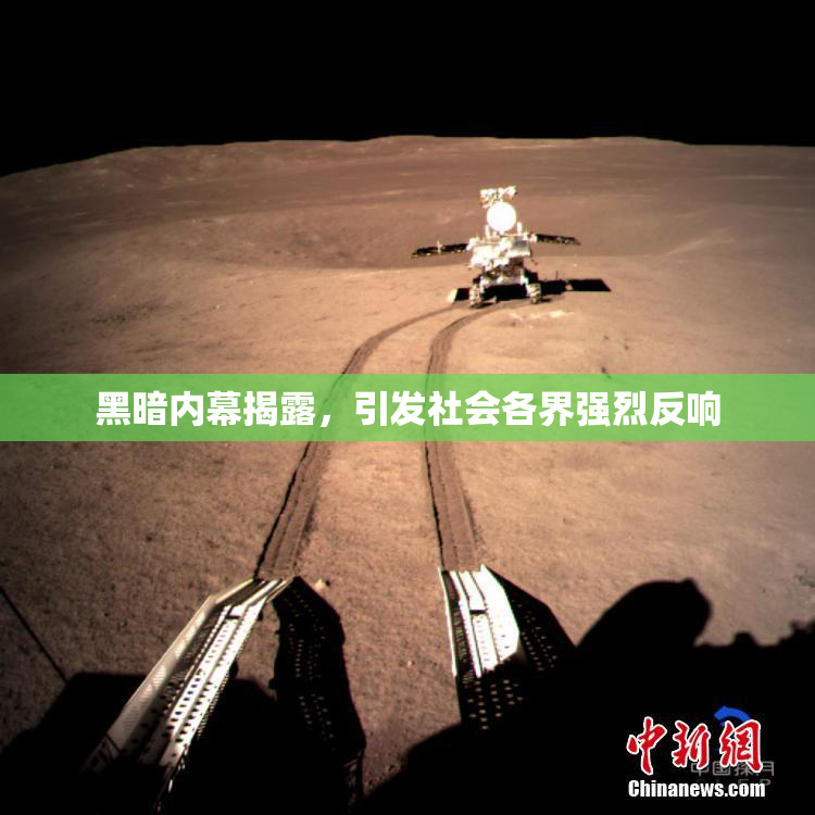 黑暗内幕揭露，引发社会各界强烈反响
