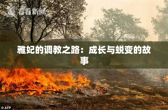 雅妃的调教之路：成长与蜕变的故事