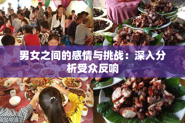 男女之间的感情与挑战：深入分析受众反响
