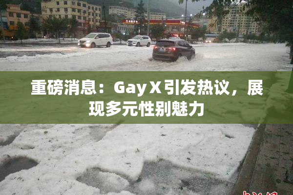 重磅消息：GayⅩ引发热议，展现多元性别魅力
