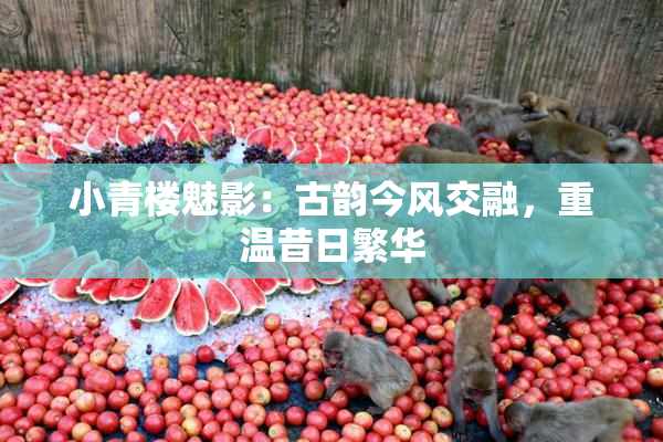 小青楼魅影：古韵今风交融，重温昔日繁华