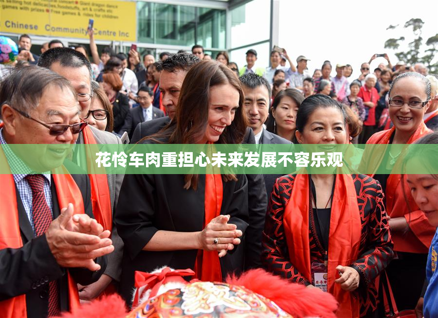 花怜车肉重担心未来发展不容乐观