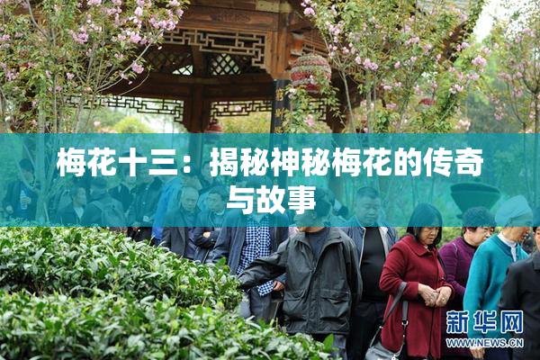 梅花十三：揭秘神秘梅花的传奇与故事