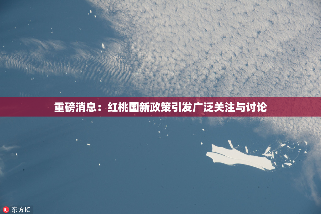 重磅消息：红桃国新政策引发广泛关注与讨论