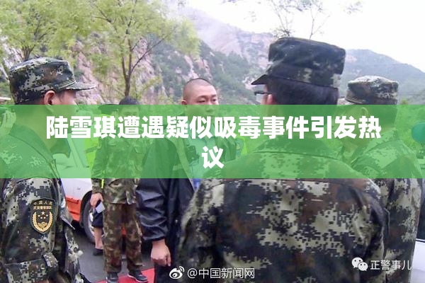 陆雪琪遭遇疑似吸毒事件引发热议