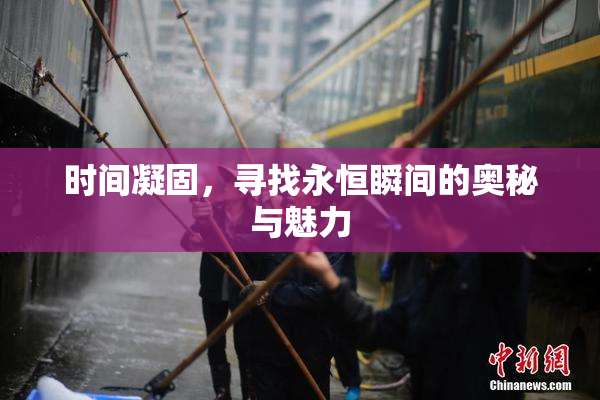时间凝固，寻找永恒瞬间的奥秘与魅力