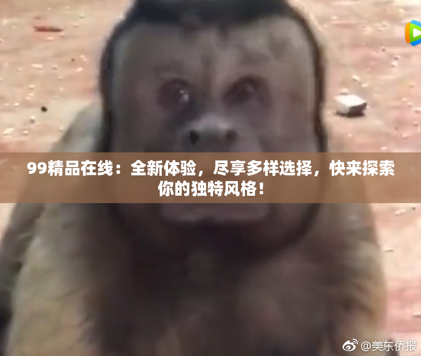99精品在线：全新体验，尽享多样选择，快来探索你的独特风格！