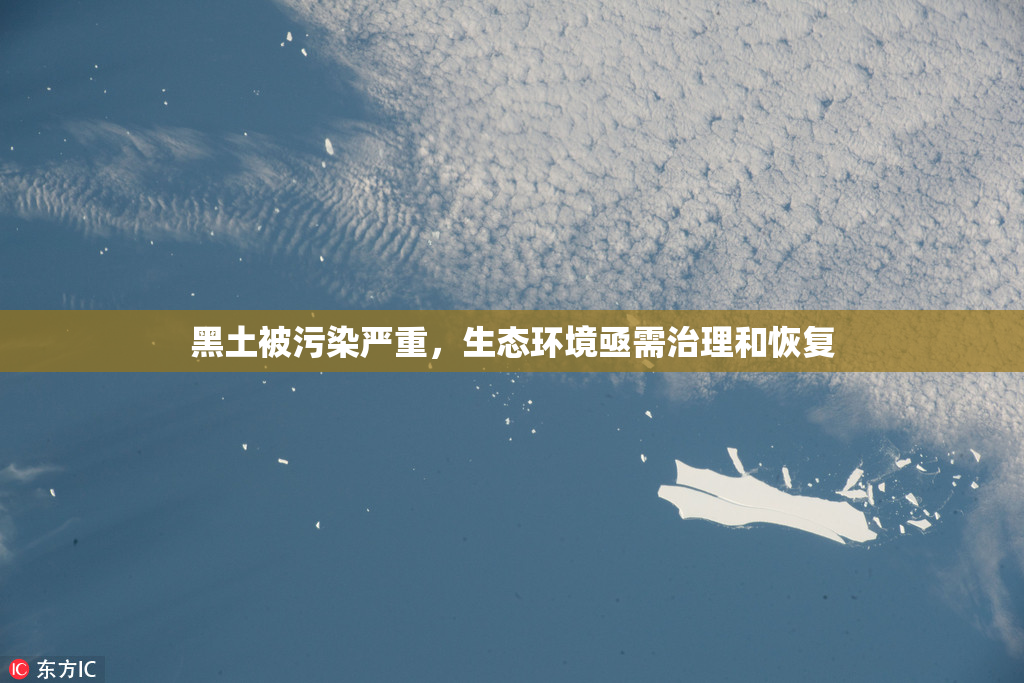 黑土被污染严重，生态环境亟需治理和恢复