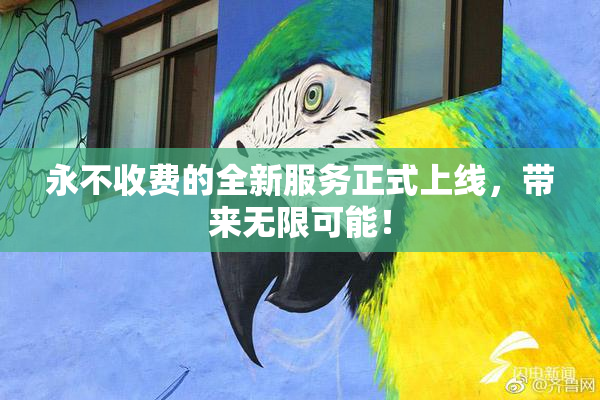 永不收费的全新服务正式上线，带来无限可能！