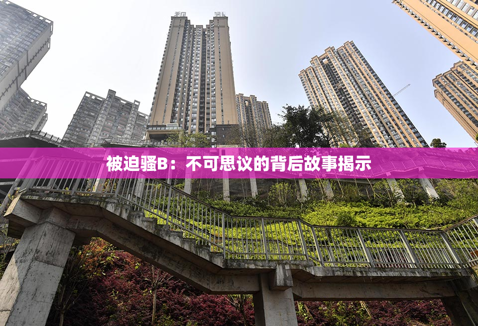被迫骚B：不可思议的背后故事揭示
