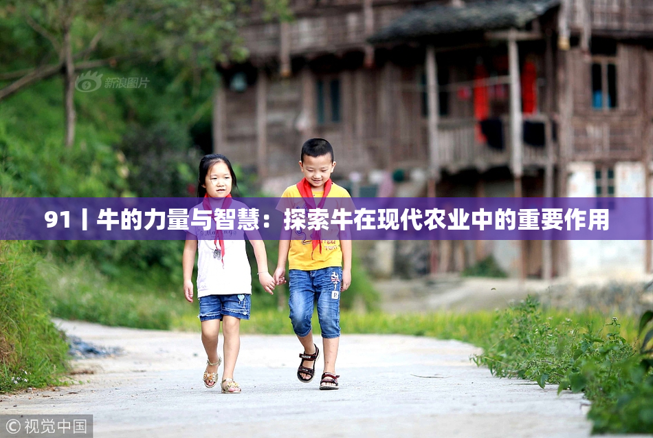 91丨牛的力量与智慧：探索牛在现代农业中的重要作用