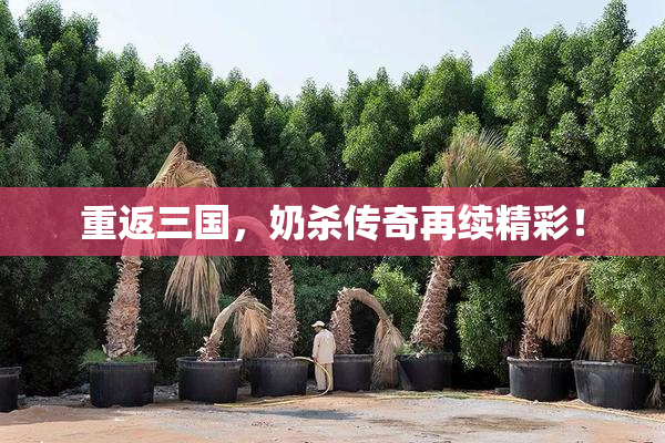 重返三国，奶杀传奇再续精彩！