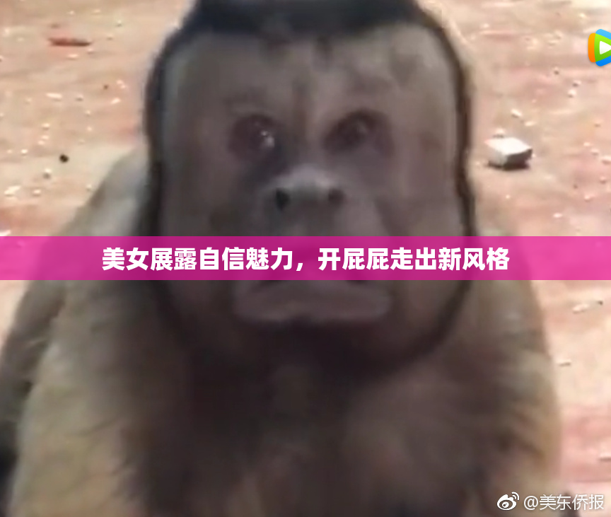 美女展露自信魅力，开屁屁走出新风格
