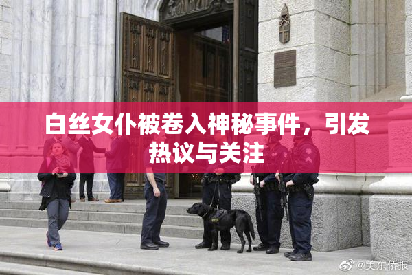 白丝女仆被卷入神秘事件，引发热议与关注
