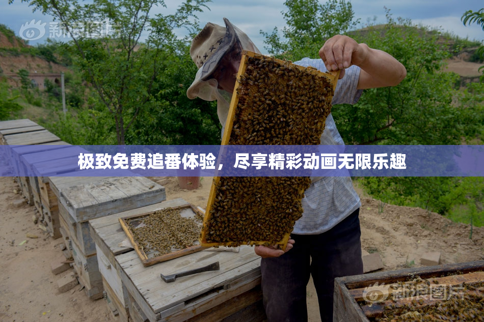 极致免费追番体验，尽享精彩动画无限乐趣